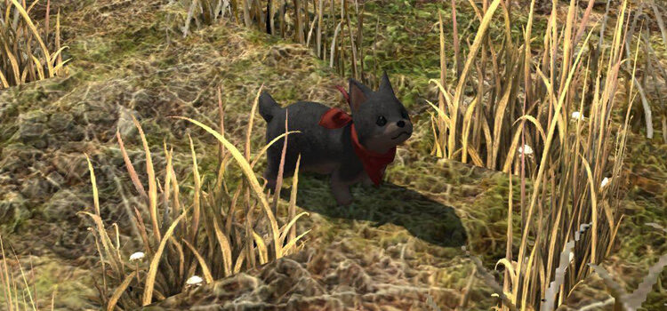 Close-up screenshot of the Wolf Pup Minion in FFXIV