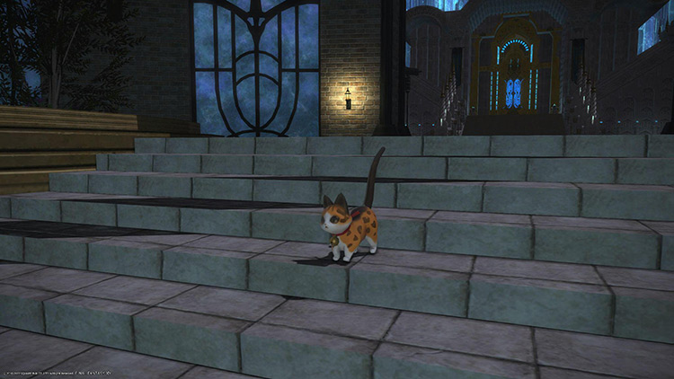 The equally adorable Coeurl Pup Minion is a secondary reward for your efforts / FFXIV