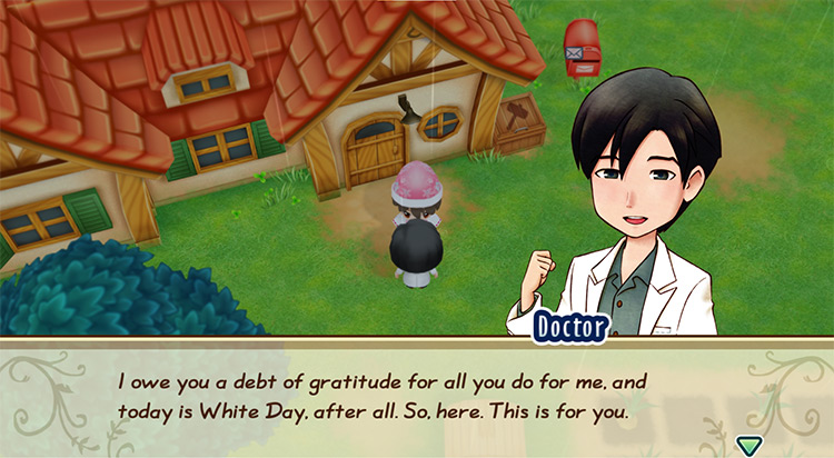 The farmer receives Chocolate Cookies during White Day. / Story of Seasons: Friends of Mineral Town