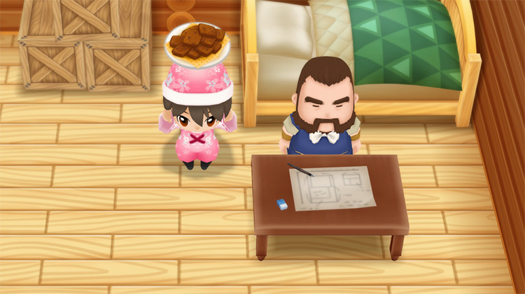 The farmer stands next to Gotts while holding a plate of Chocolate Cookies. / Story of Seasons: Friends of Mineral Town