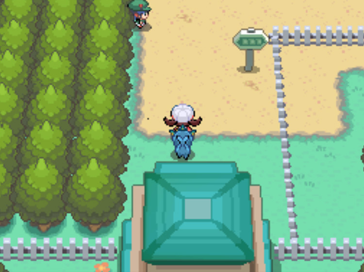 The start of Route 35, as seen when leaving Goldenrod City's north gate / Pokémon HGSS