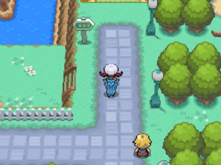 The north exit of Cerulean City, which leads to Route 24 / Pokémon HGSS