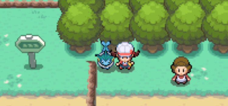 Standing on Route 15 where you can get an Oval Stone gift (HGSS)