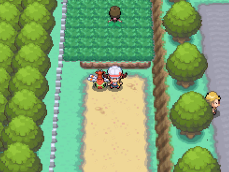 Route 14, one of the places where you can find a wild Chansey holding an Oval Stone / Pokemon HGSS