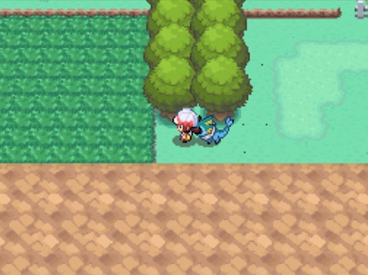 The grass on Route 4 where wild Jigglypuff can be found / Pokémon HGSS