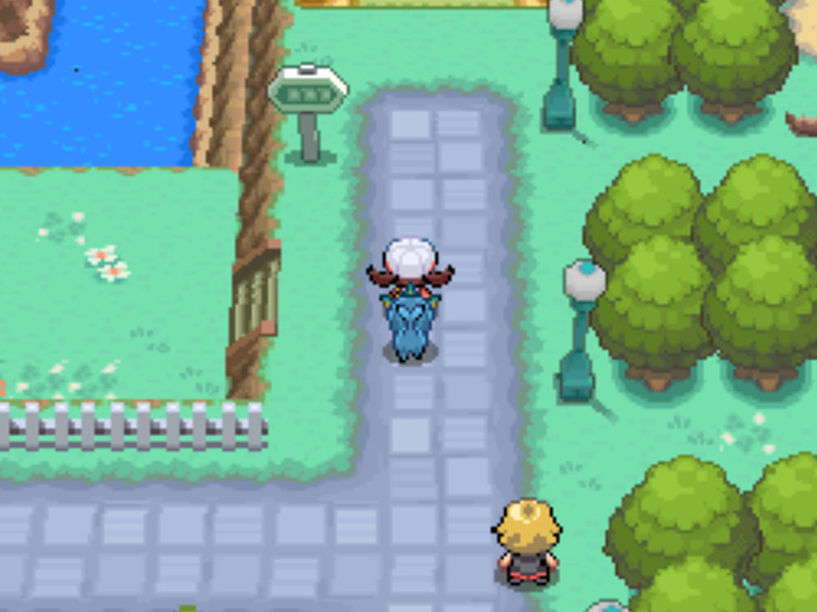 The north exit of Cerulean City leading to Route 24 / Pokémon HGSS