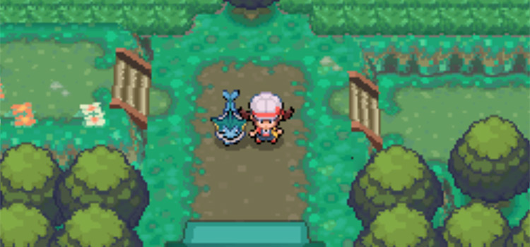 In The Viridian Forest near a Leaf Stone (HeartGold)