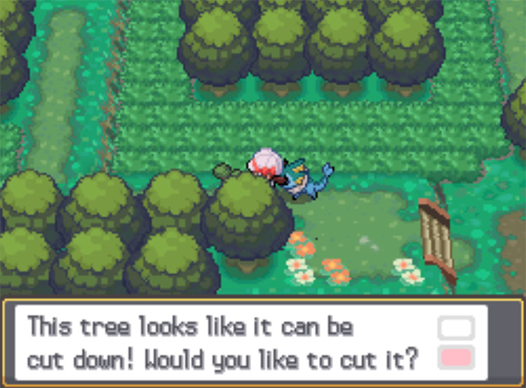 The Cut-able tree immediately to the left of Viridian Forest's entrance / Pokemon HGSS
