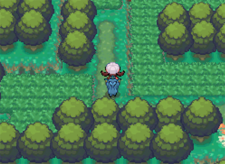 The next north turn possible in Viridian Forest / Pokemon HGSS