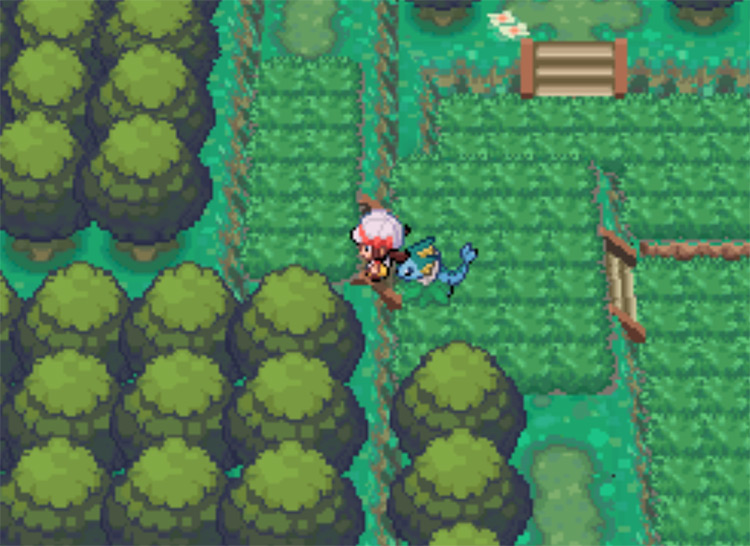 The set of stairs you need to climb in Viridian Forest / Pokemon HGSS