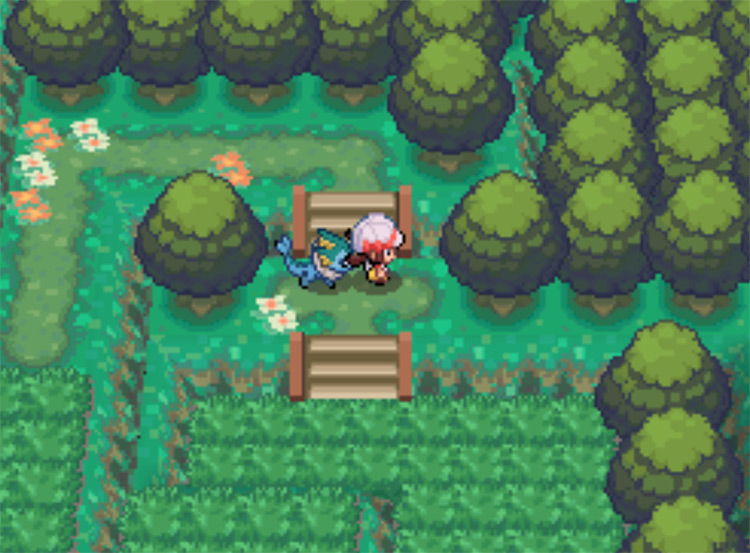 The location of the Leaf Stone in Viridian Forest / Pokemon HGSS
