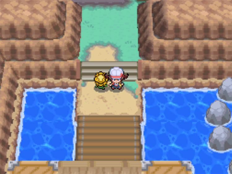The start of Route 12, when you leave Lavender Town's south exit / Pokemon HGSS