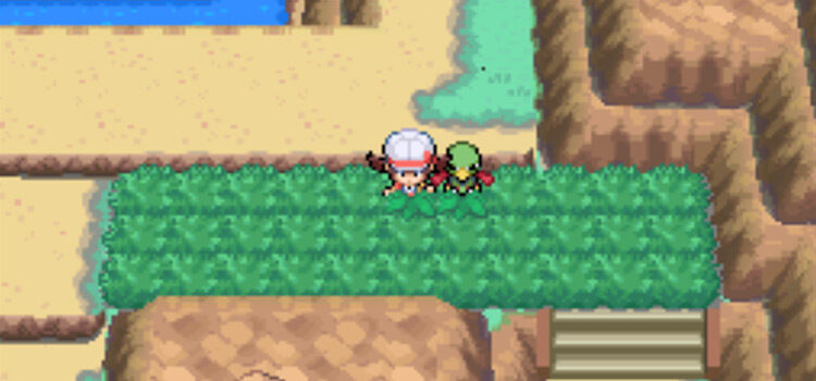 Standing on Route 45 in HeartGold where you can steal Everstones