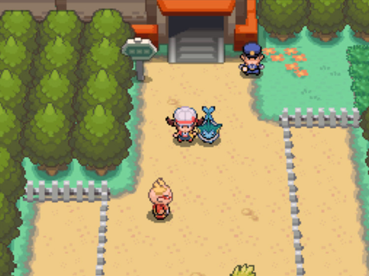 The entrance to the National Park on Route 35 / Pokémon HeartGold and SoulSilver