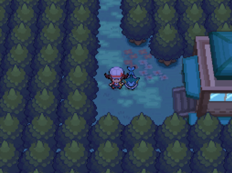 Ilex Forest during the night time, where you can catch a wild Oddish / Pokémon HeartGold and SoulSilver