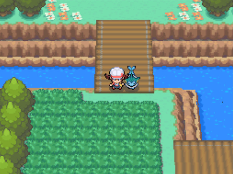 The patch of grass on Route 48 where you can catch either Vulpix or Growlithe, depending on your version of the game / Pokémon HeartGold and SoulSilver