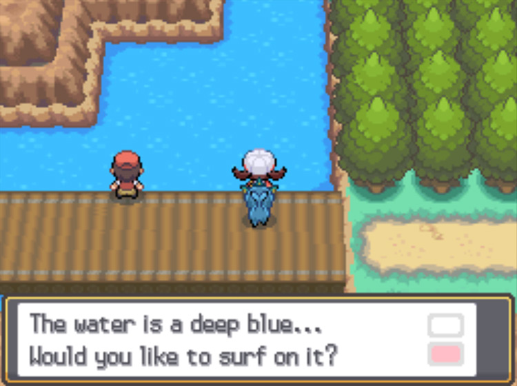 The correct Surf point on Route 44 / Pokémon HeartGold and SoulSilver