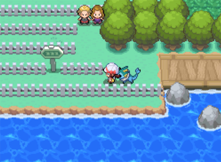 The beginning of Route 13 / Pokemon HGSS