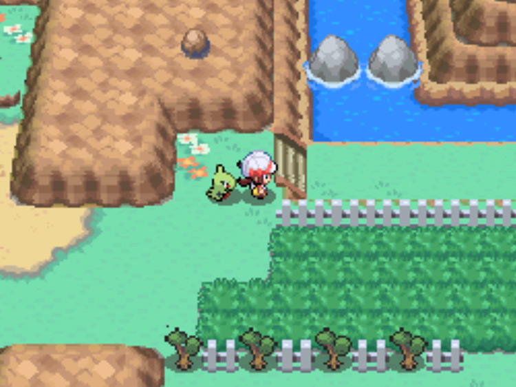 The surf-able river at the end of Route 9 / Pokémon HGSS