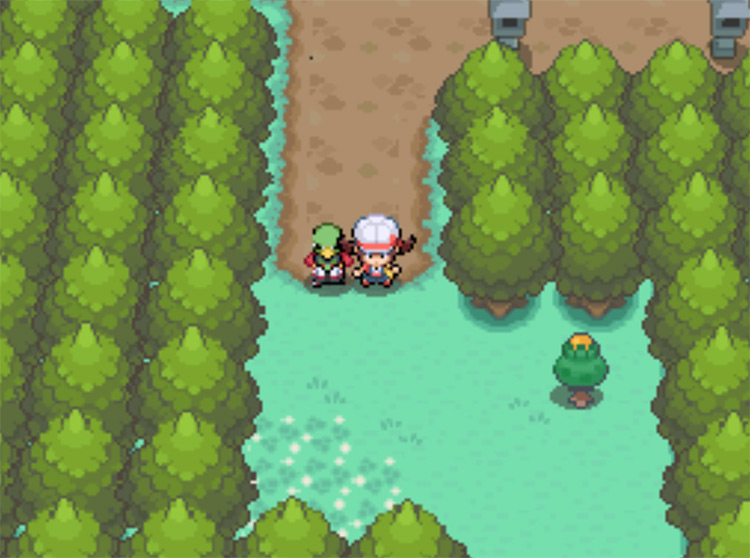 All Heart Scale Locations in Pokemon Heartgold/Soulsilver