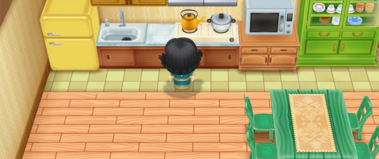 Anna stands in the kitchen inside Basil’s House. / Story of Seasons: Friends of Mineral Town