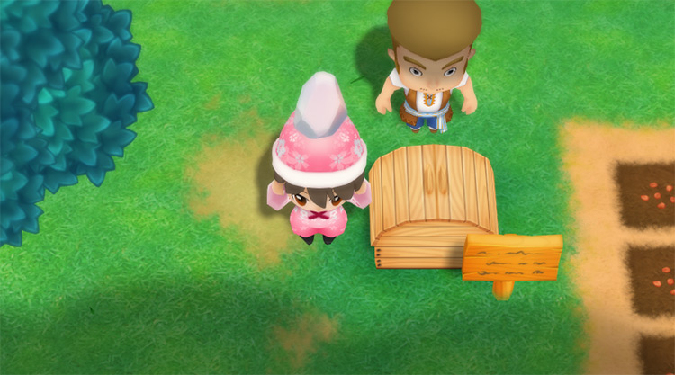The farmer drops a Moonstone into the Shipping Bin. / Story of Seasons: Friends of Mineral Town