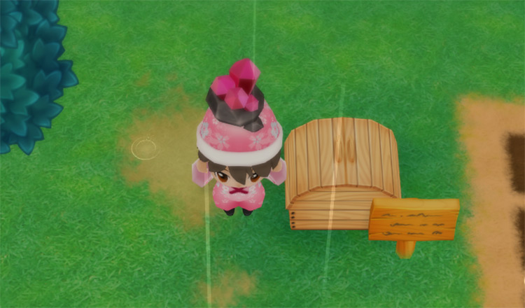 The farmer drops a Ruby into the Shipping Bin. / Story of Seasons: Friends of Mineral Town