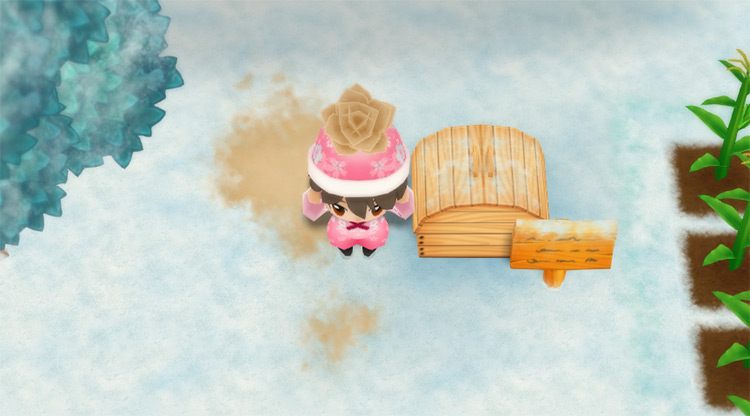 The farmer drops a Sandrose into the Shipping Bin. / Story of Seasons: Friends of Mineral Town