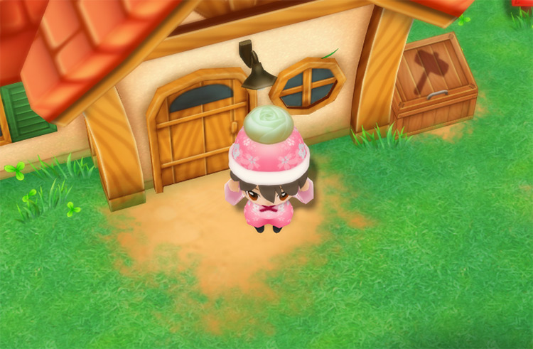 The farmer holds up a Winter Sun in front of the farmhouse. / Story of Seasons: Friends of Mineral Town