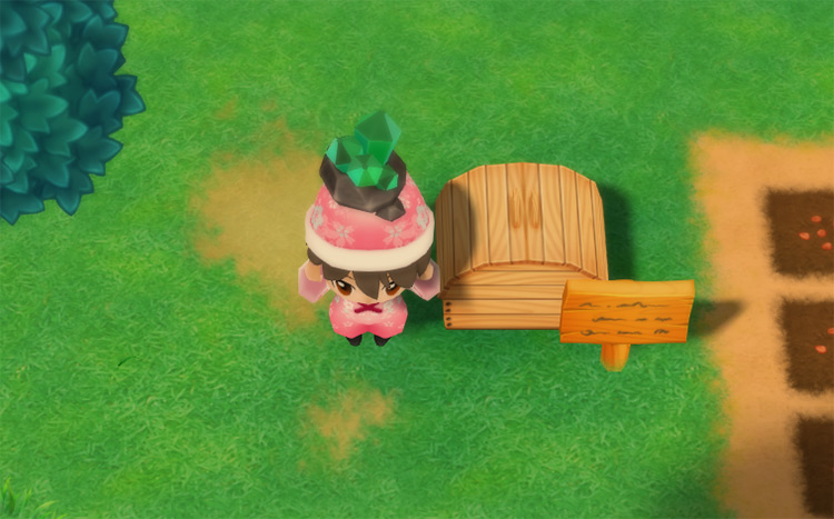 The farmer drops an Emerald into the Shipping Bin. / Story of Seasons: Friends of Mineral Town