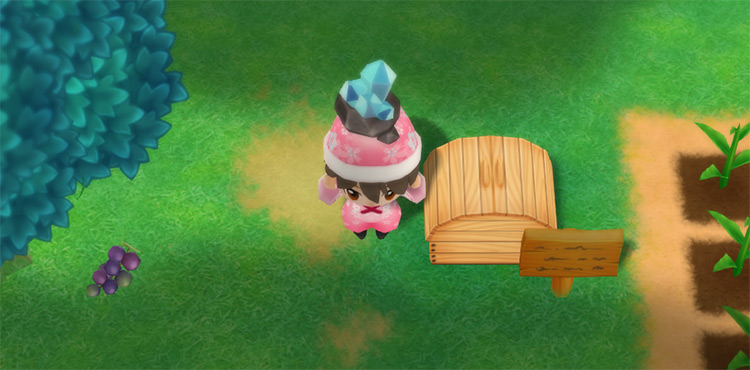 The farmer drops an Aquamarine into the Shipping Bin. / Story of Seasons: Friends of Mineral Town