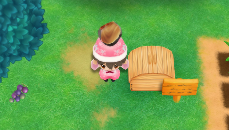 The farmer drops an Agate into the Shipping Bin. / Story of Seasons: Friends of Mineral Town