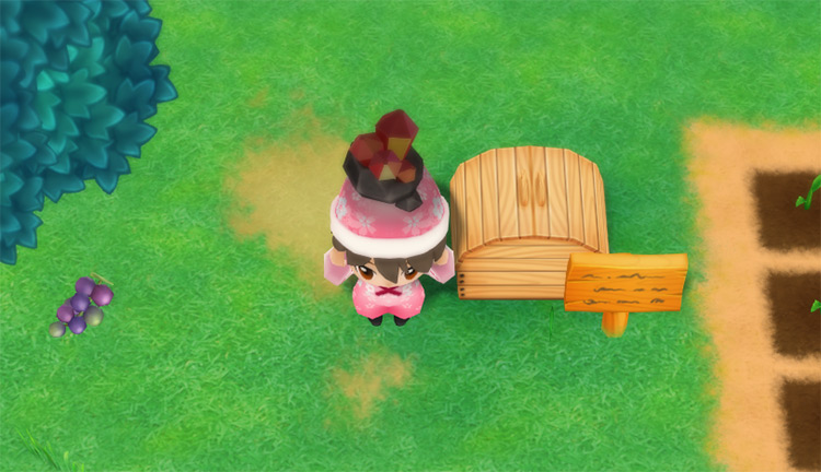 The farmer drops a Garnet into the Shipping Bin. / Story of Seasons: Friends of Mineral Town