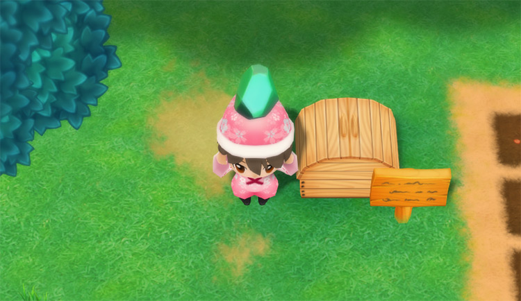 The farmer drops an Alexandrite into the Shipping Bin. / Story of Seasons: Friends of Mineral Town