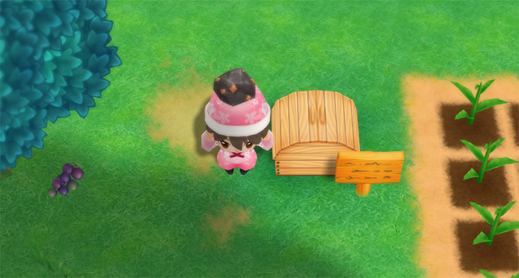 The farmer drops Copper into the Shipping Bin. / Story of Seasons: Friends of Mineral Town