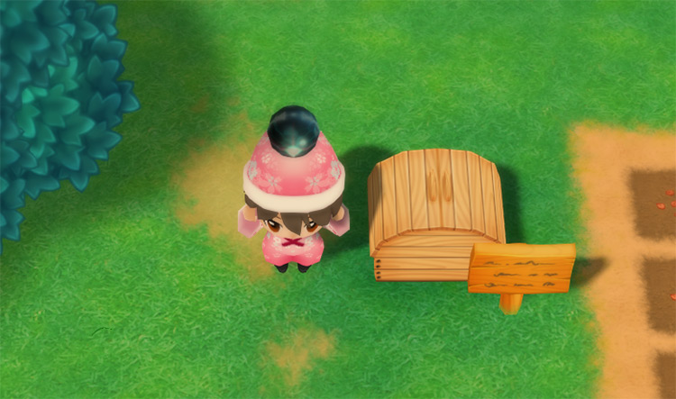 The farmer drops a Mythic Ore into the Shipping Bin. / Story of Seasons: Friends of Mineral Town