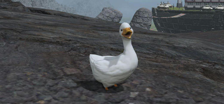 The Ugly Duckling Minion in FFXIV