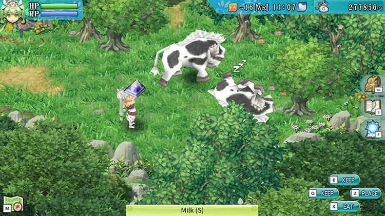 Frey holding up Milk (S) dropped by wild Buffamoo in Selphia Plain East / Rune Factory 4