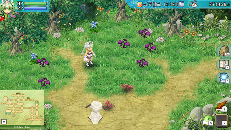 An area next to the summer field filled with purple grass / RF4
