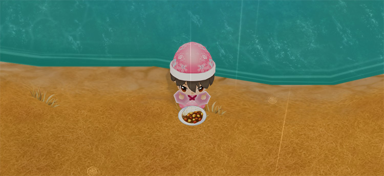 The farmer eats Curry Rice to restore stamina while fishing. / Story of Seasons: Friends of Mineral Town