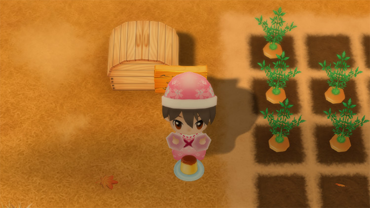 The farmer eats Pudding to restore stamina while working in the fields. / Story of Seasons: Friends of Mineral Town