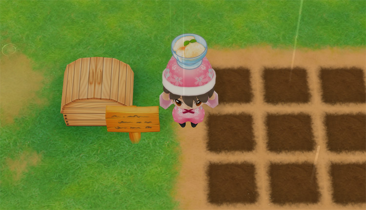 The farmer eats Ice Cream to restore stamina while working in the fields. / Story of Seasons: Friends of Mineral Town