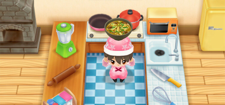 Bowl of Curry Udon in SoS:FoMT