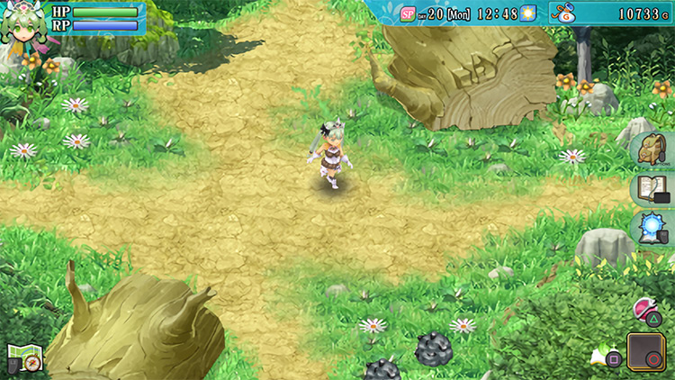 Selphia Plains south of Selphia Castle Gate with the mobs cleared / Rune Factory 4
