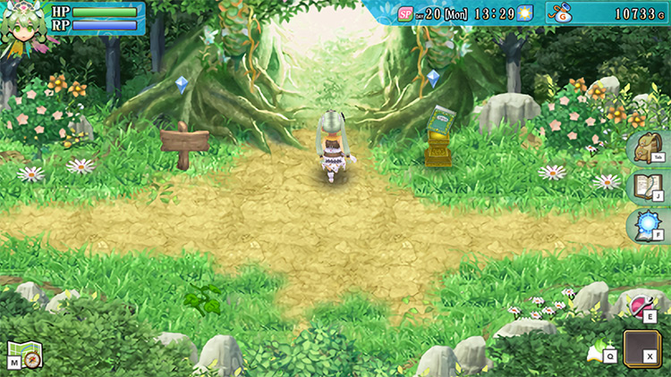 Selphia Plains with the entrance to Yokmir Forest / Rune Factory 4