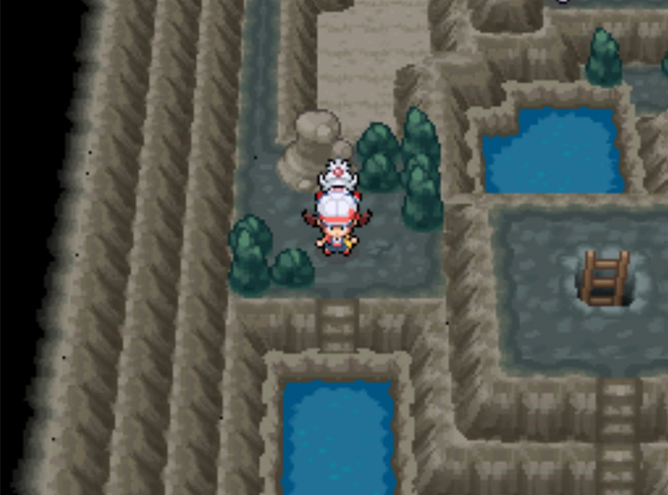 The body of water one floor below ground in Slowpoke Well / Pokémon HeartGold and SoulSilver