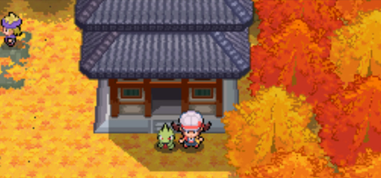 Bell Tower, where you can find a hidden PP Up (HeartGold)