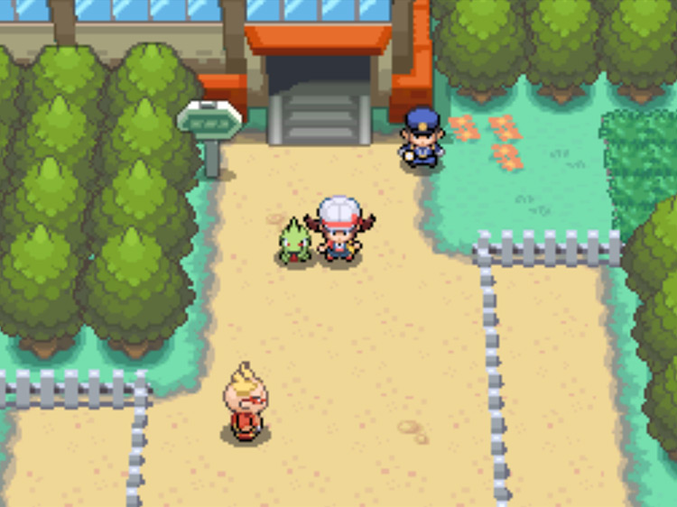 The building containing the route to the Pokéathlon Dome on Route 35 / Pokémon HGSS