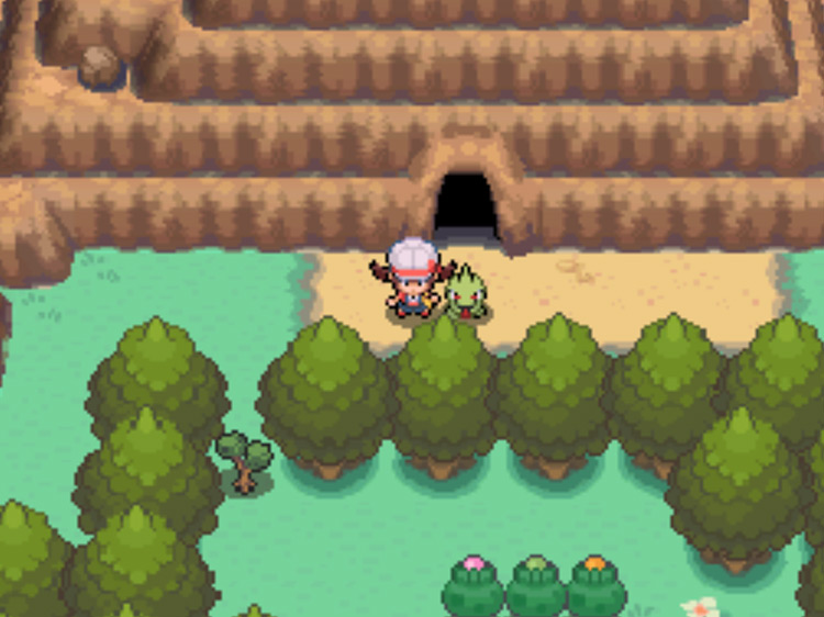 Mt. Mortar's middle entrance / Pokémon HGSS