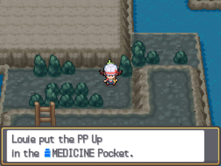 The location of the PP Up in Mt. Mortar / Pokémon HGSS